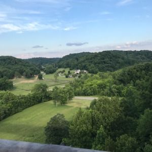 Meet your Posher, Presley